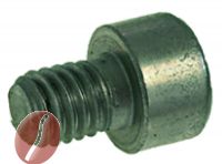 SCHRAUBE M6x8 AUS INOX