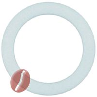 FLACHDICHTUNG AUS TEFLON ø 16x22,5x2 mm