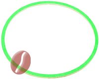 DICHTUNG FÜR KESSEL TEFLON SPRINT