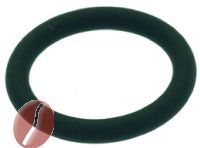 O-RING DICHTUNG 0119 VITON