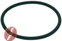 O-RING DICHTUNG 0159 VITON