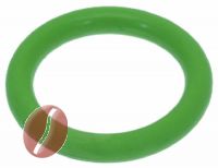 DICHTUNG OR 04075 VITON