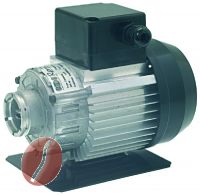 MOTOR MIT SCHELLENANSCHLUSS