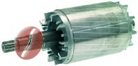 ROTOR ROBUR