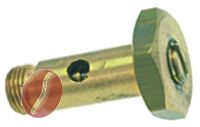 GELENKSCHRAUBE