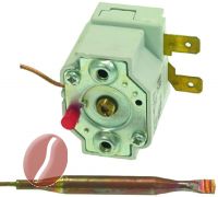 SICHERHEITSTHERMOSTAT COTHERM