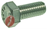 SCHRAUBEDELSTAHL M5x10 mm UNI 5739