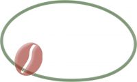 DICHTUNG FÜR BOILER FKM GRÜN