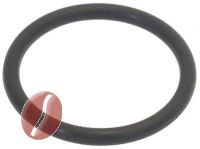 BEZZERA O-Ring Brügruppe