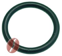 O-RING DICHTUNG 0123 EPDM